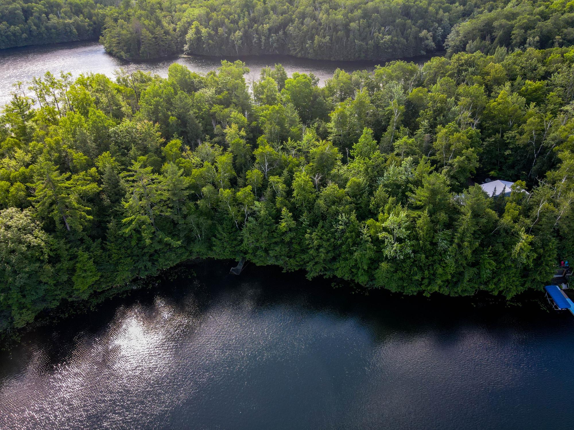 N8481 BOG LAKE RD