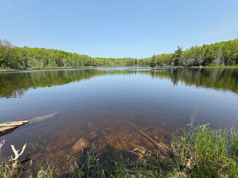 8677N DAVIS RD Mercer WI 54534