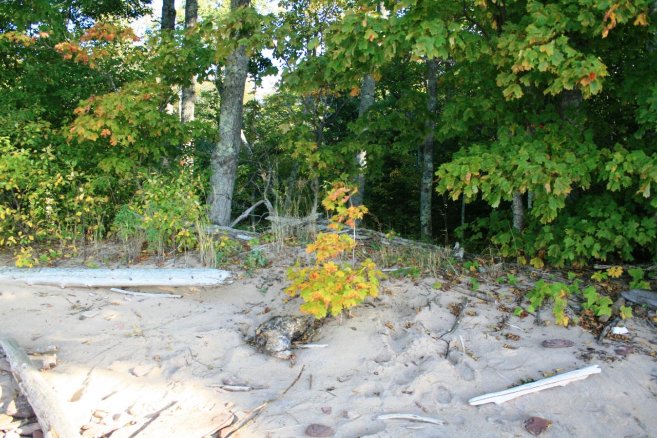TBD LAKESHORE DR 75-79