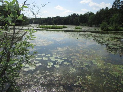 ON PENINSULA DR Phillips WI 54555