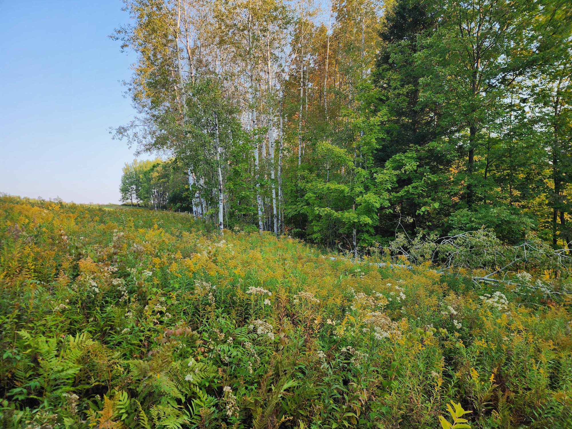 10 ac ON SIPPLE RD