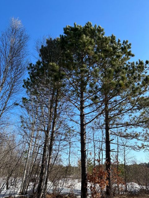 ON SPRING CREEK DR 4080-3 Tomahawk WI 54487