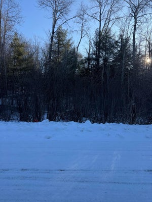 ADDRESS PRIVATE, TOWNSEND, WI 54175 - Image 6feee4d12e349dd925c33fdd520aecbb/1295220518
