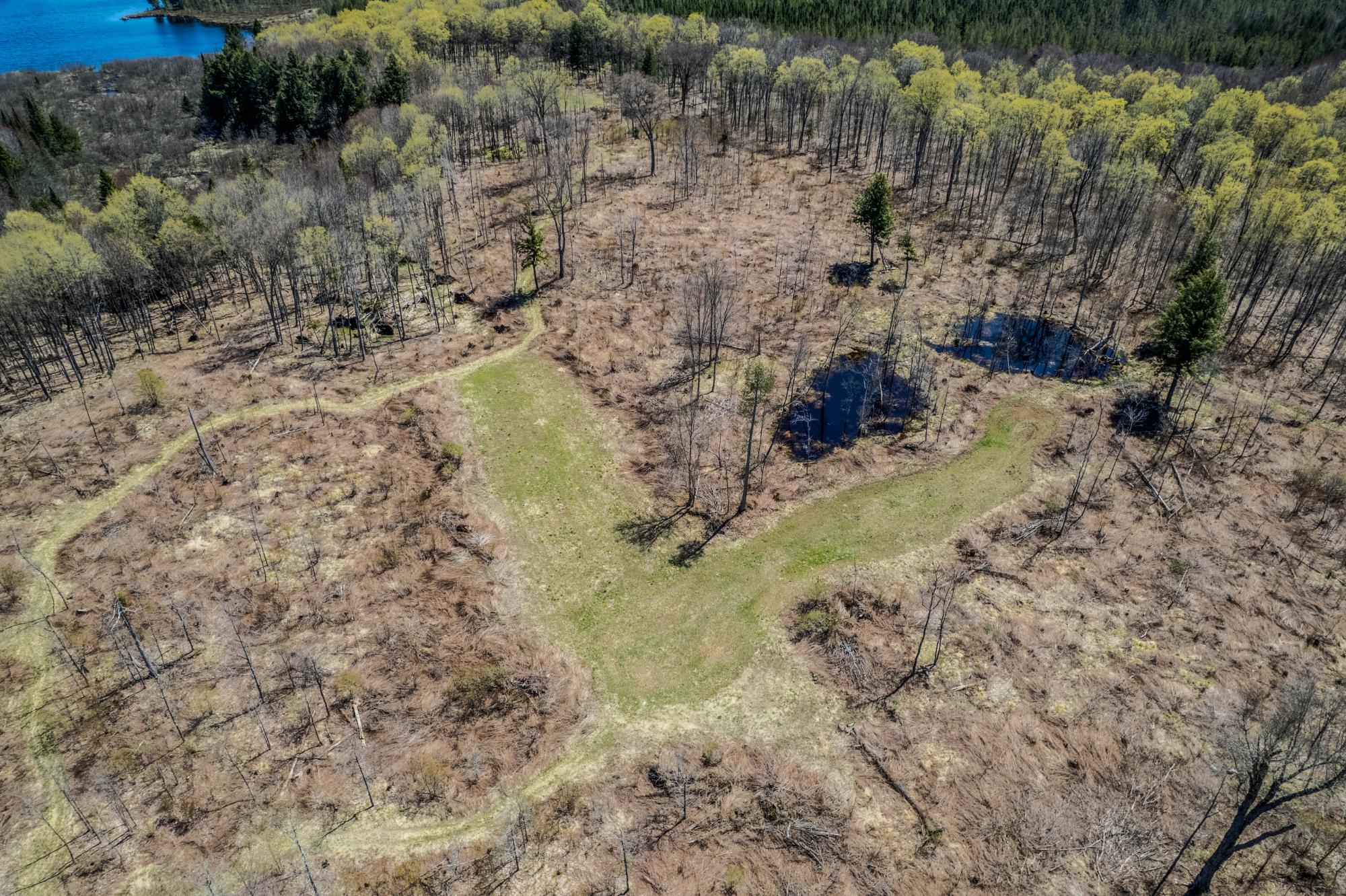 160 AC CTH FF