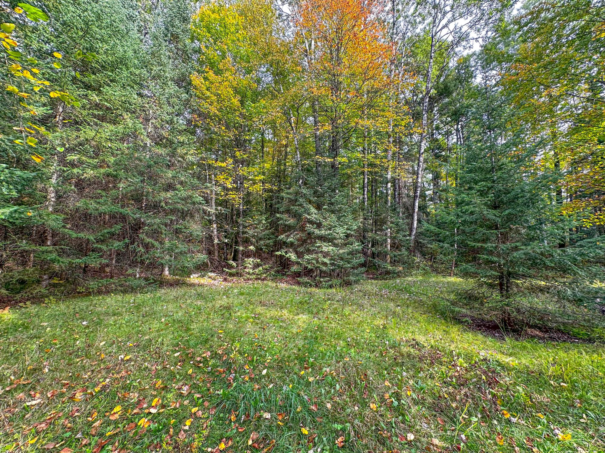 N12668 HICKS LANDING RD