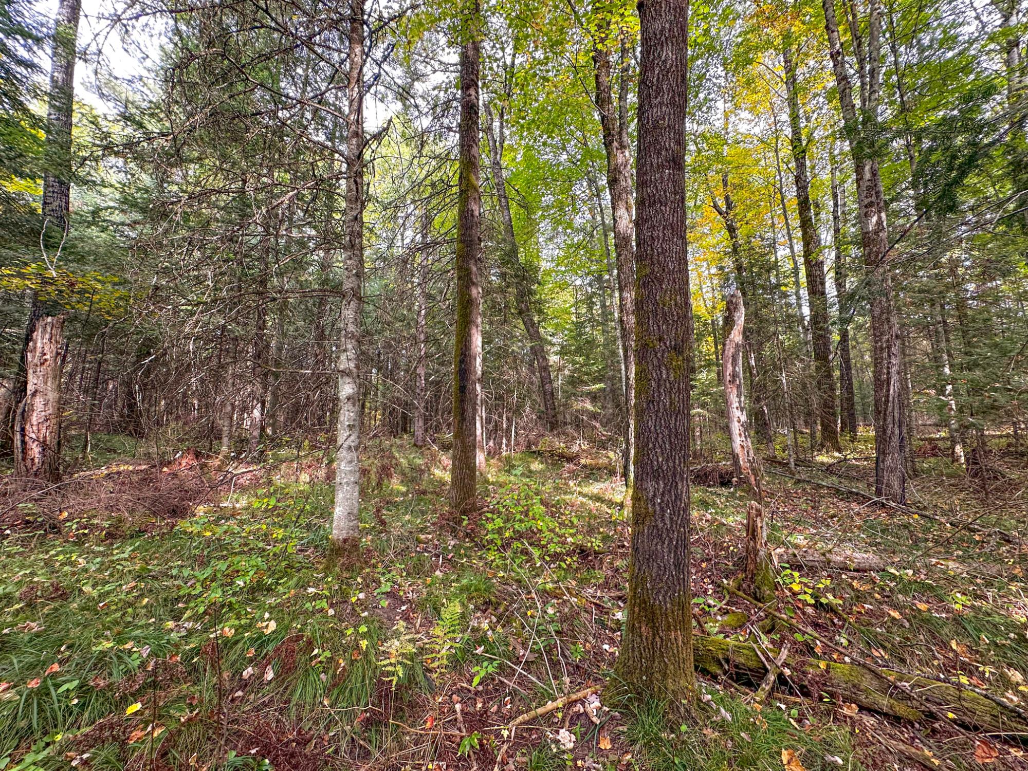 N12668 HICKS LANDING RD