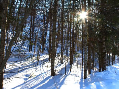 Outlot 1 SKYE DR Upson WI 54565