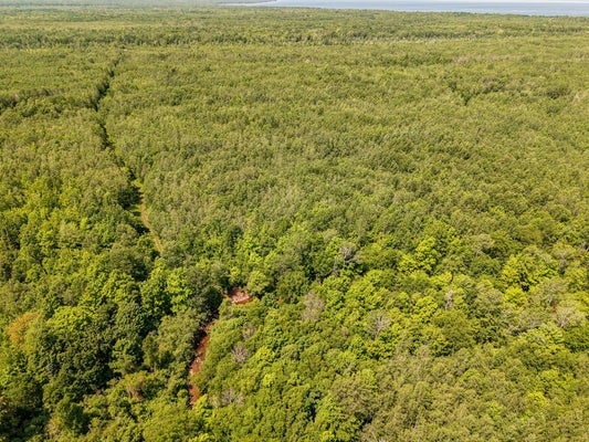 32954 KINGBIRD LN, ONTONAGON, MI 49953 - Image 71aa82d9b2f6b8bae4b8a4e785560ad3/80924616