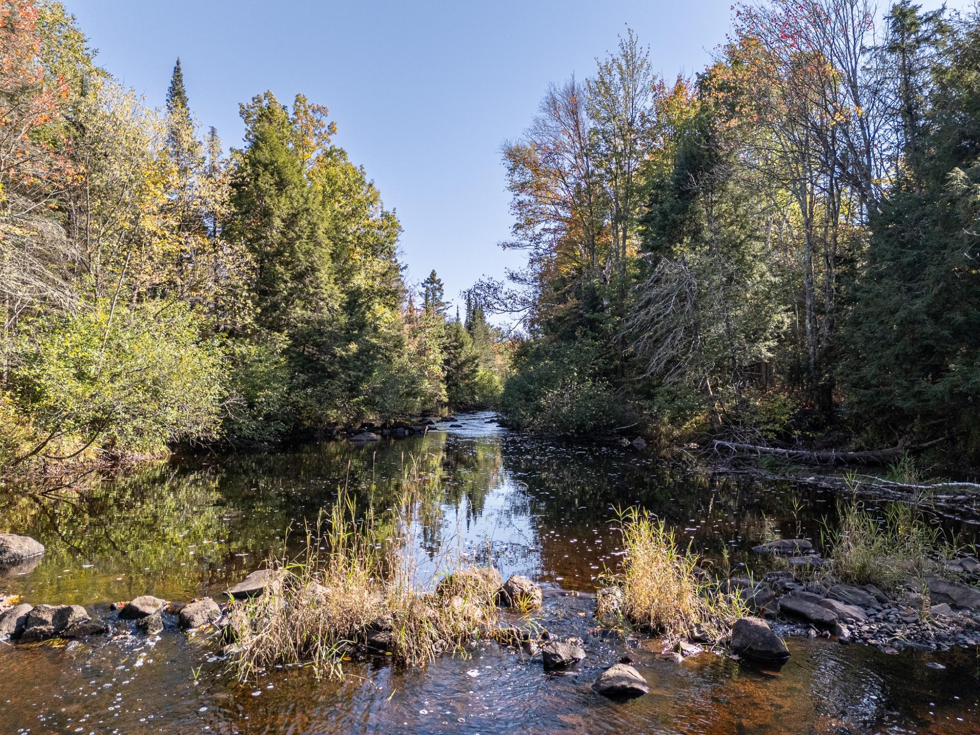12248 DUPONT RD