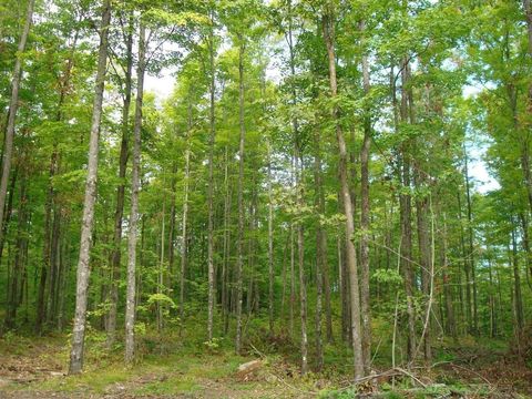 ON HWY 8 Tract 2067 Crandon WI 54520