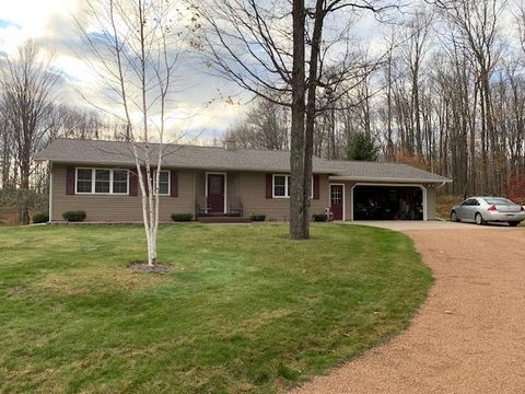 W10350 DEER TRAIL LN Deerbrook WI 54424