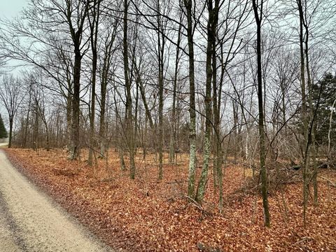 Lot 60 CHIP N DALE DR Pickerel WI 54465