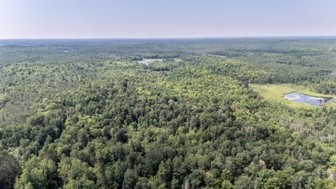 10701 KUUSISTO RD Carey WI 54534