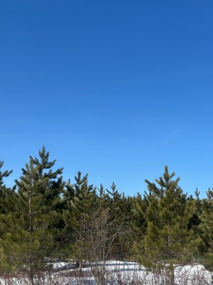 ADDRESS PRIVATE, TOMAHAWK, WI 54487 - Image 7aef099f4e9e704575f46904bae1eb42/2905845741