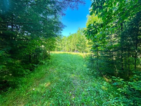 ON JOHNSON RD 40 ACRES Crandon WI 54520