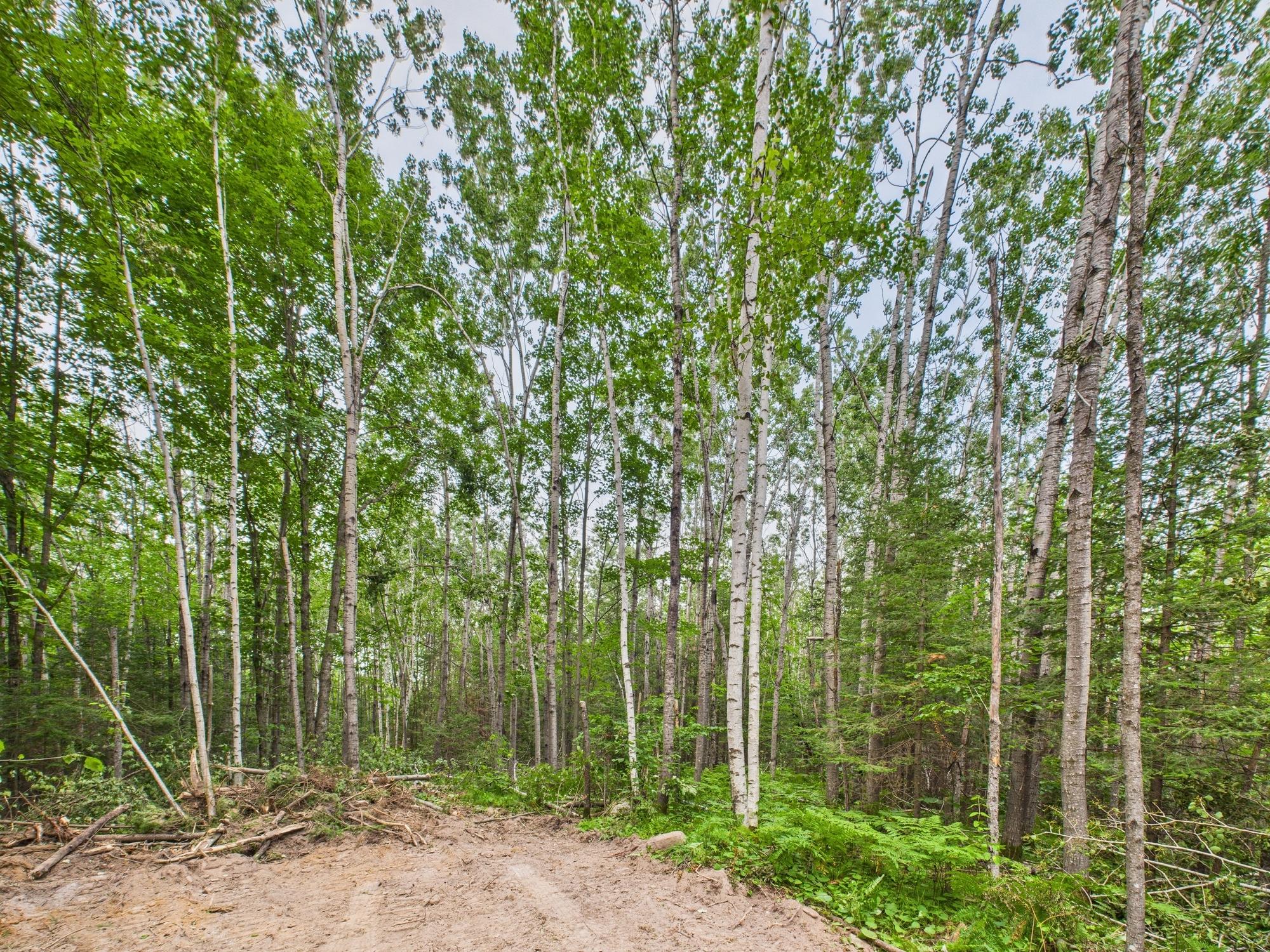 40 Ac ISON RD