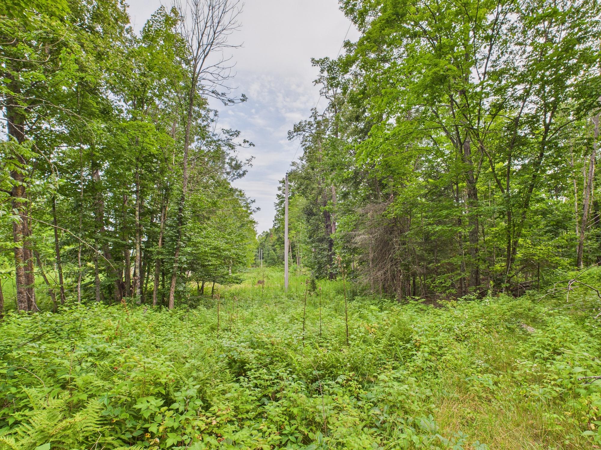36.5 ac HWY 139