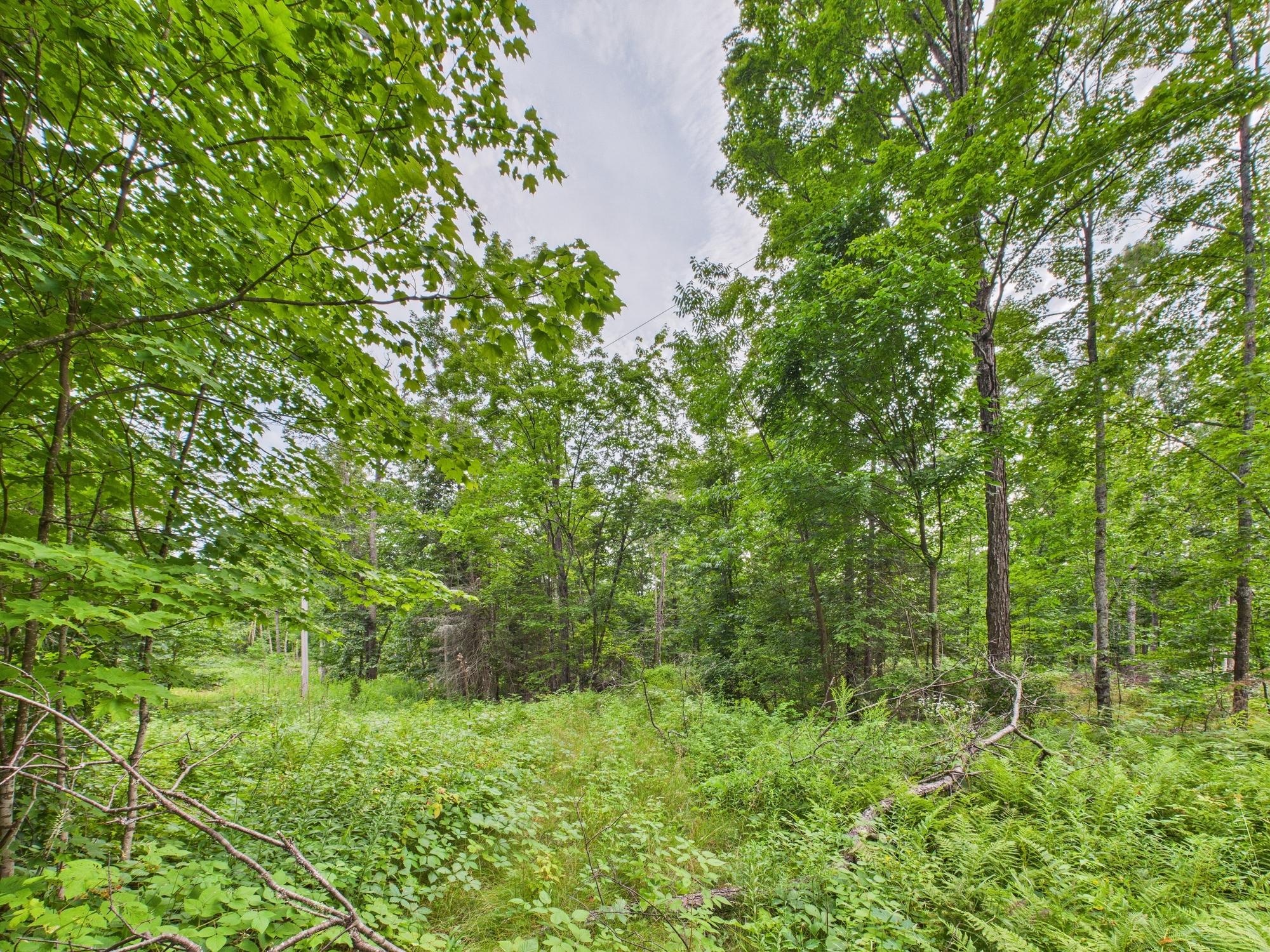 36.5 ac HWY 139