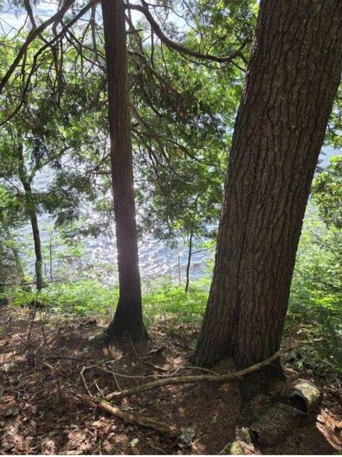 TBD PAINT LAKE RD W Iron River MI 49935