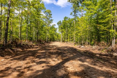 40 Acres ISON RD Crandon WI 54520