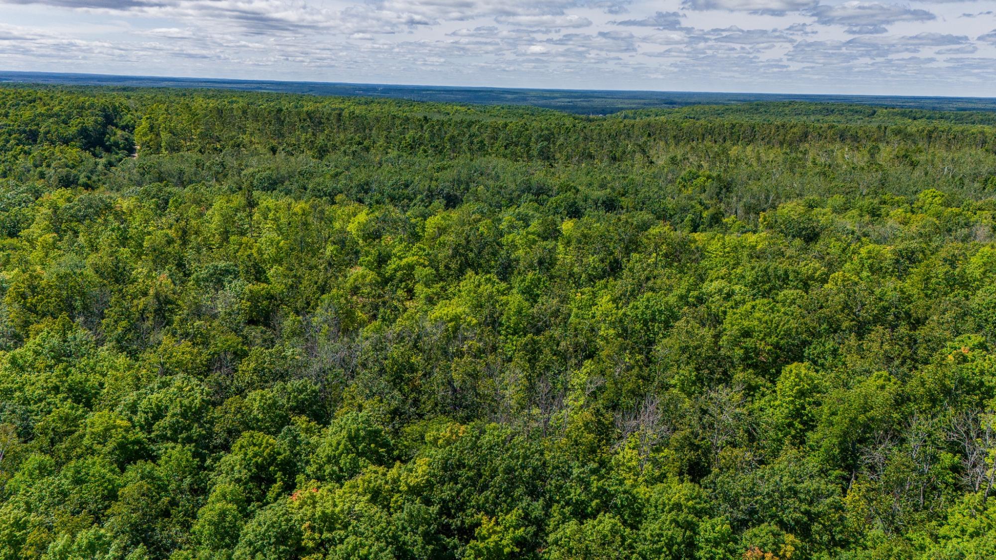 40 Acres ISON RD