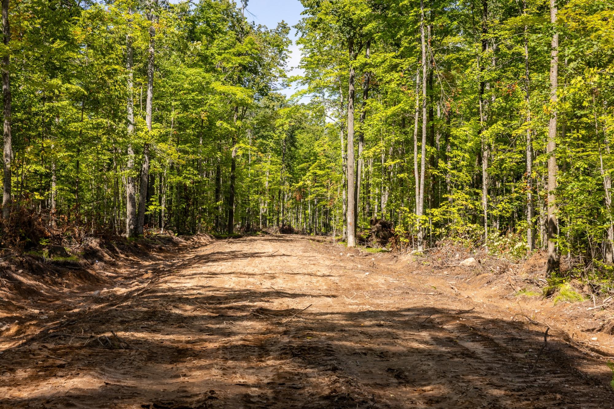 40 Acres ISON RD
