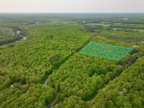 N3891 BUETTNER LN White Lake WI 54491