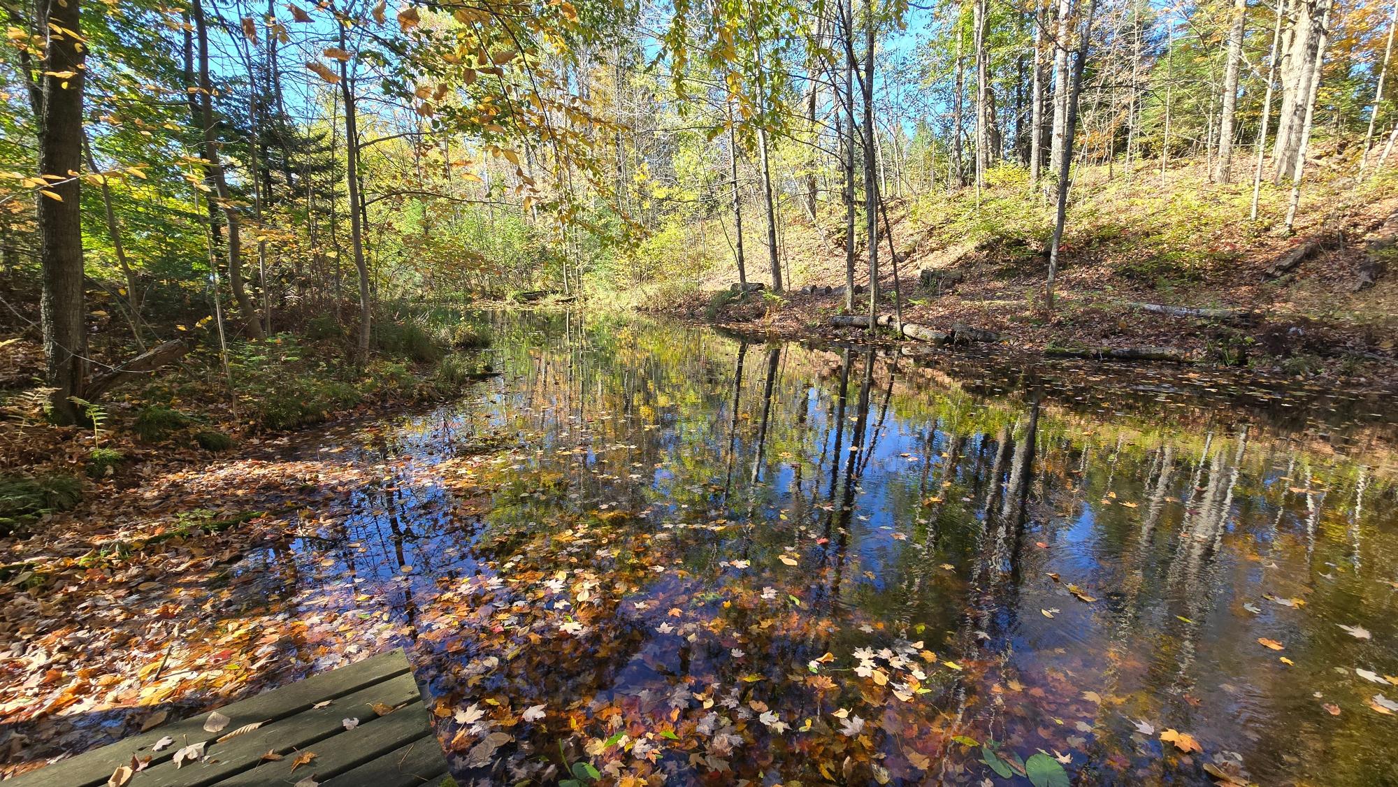 W1391 ROSE LAKE RD