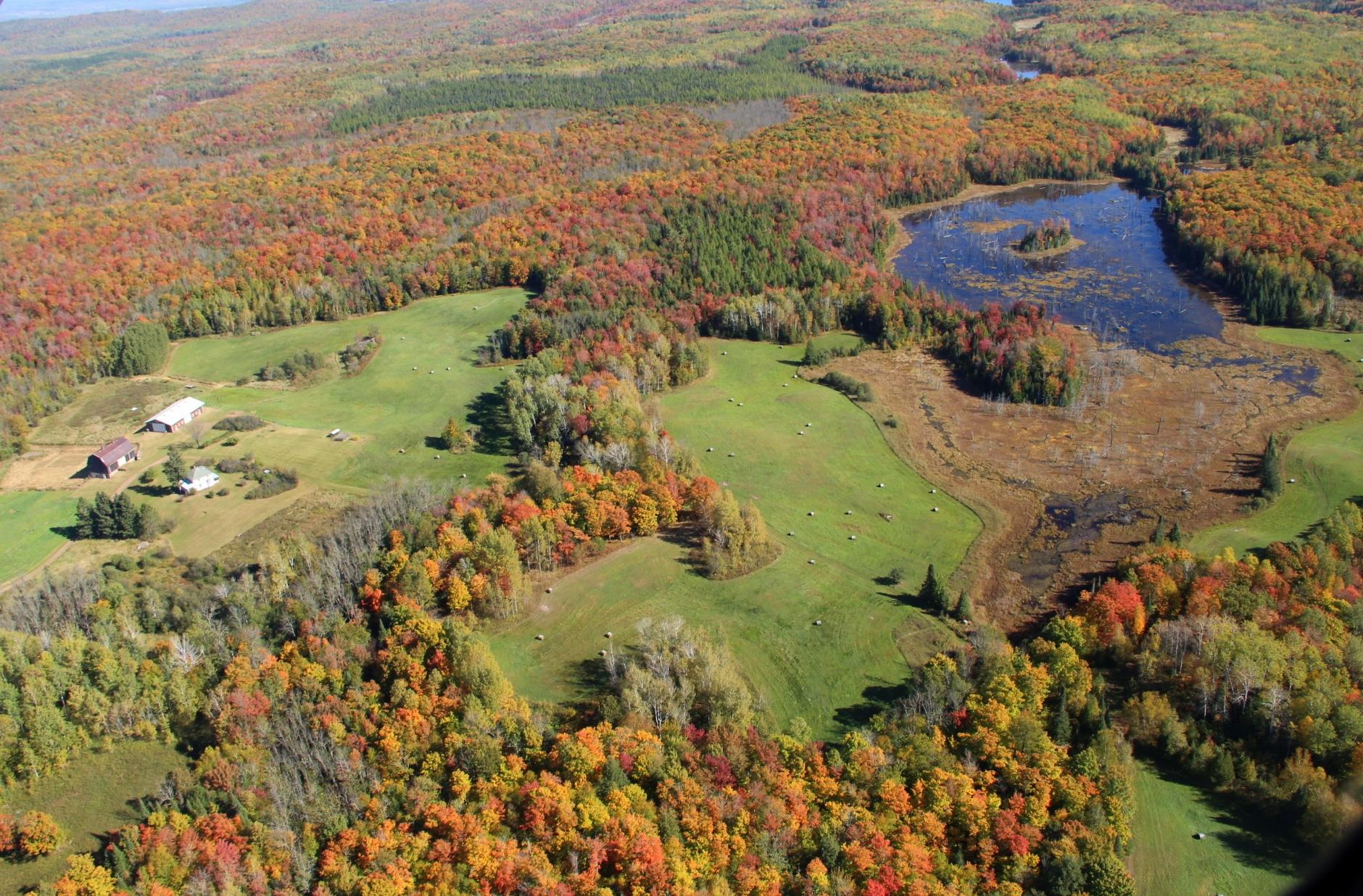 63999 WOLANEK RD 313 acres