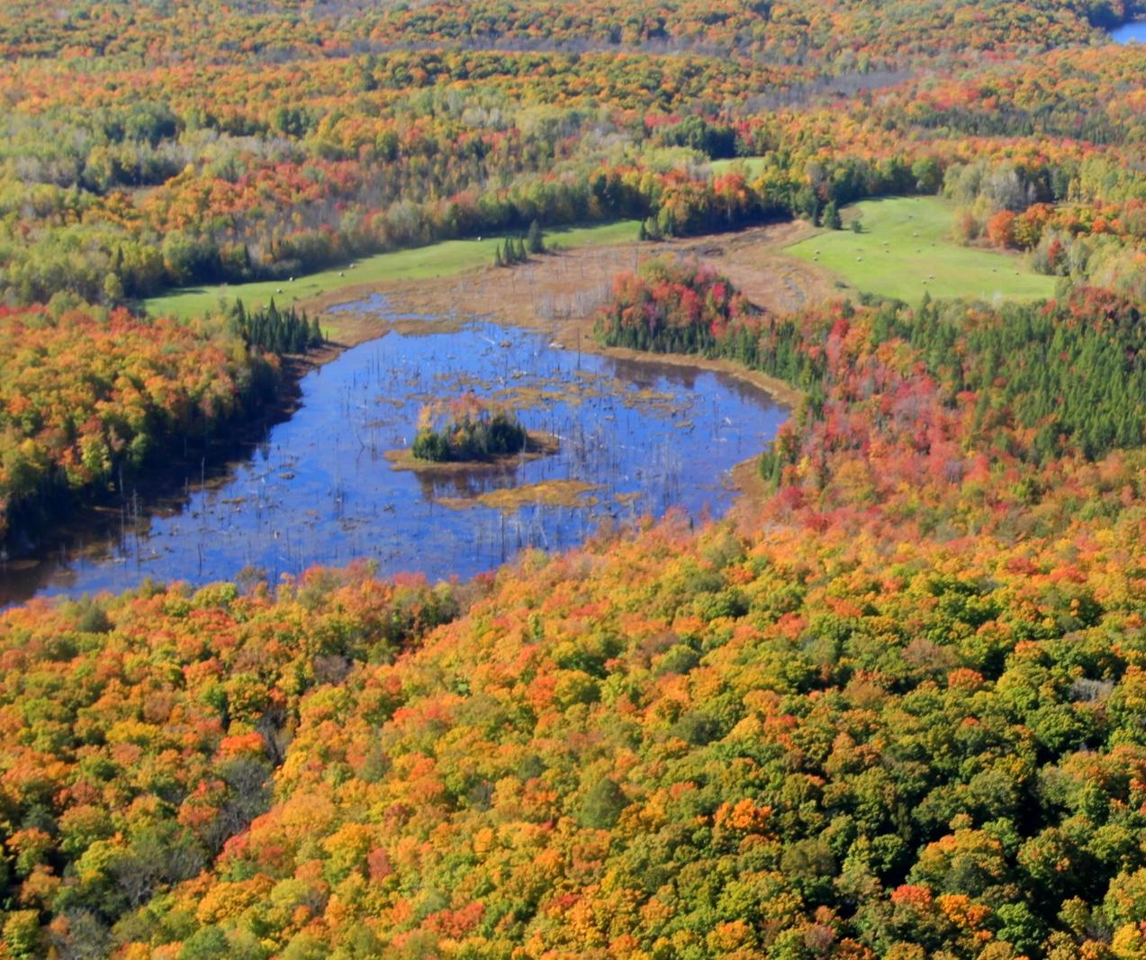 63999 WOLANEK RD 313 acres
