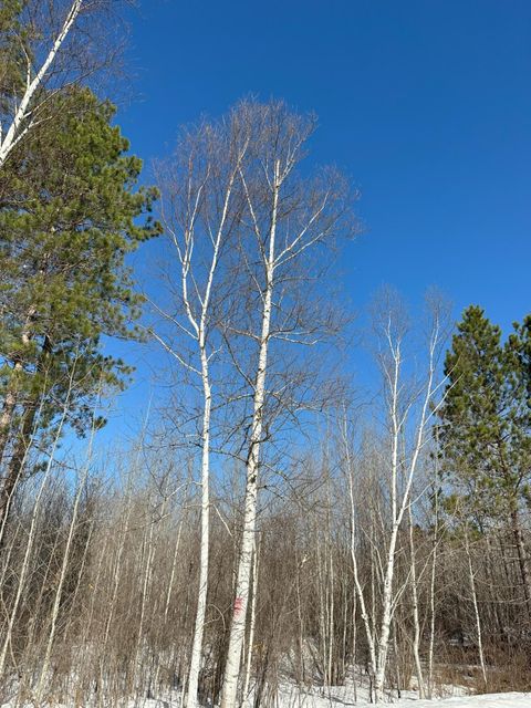 ON SPRING CREEK DR 4080-7 Tomahawk WI 54487