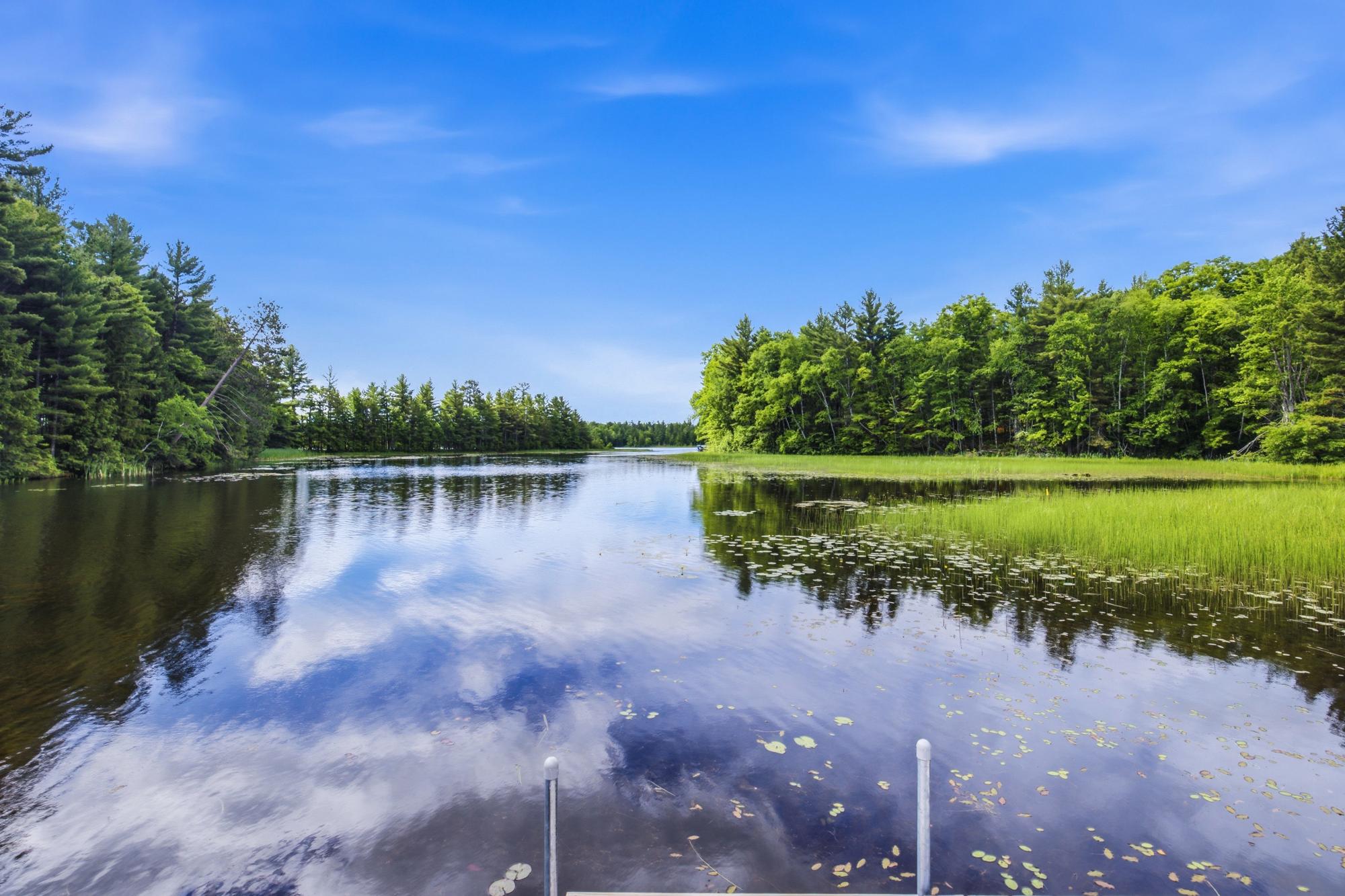 12753 ALDER LAKE RD