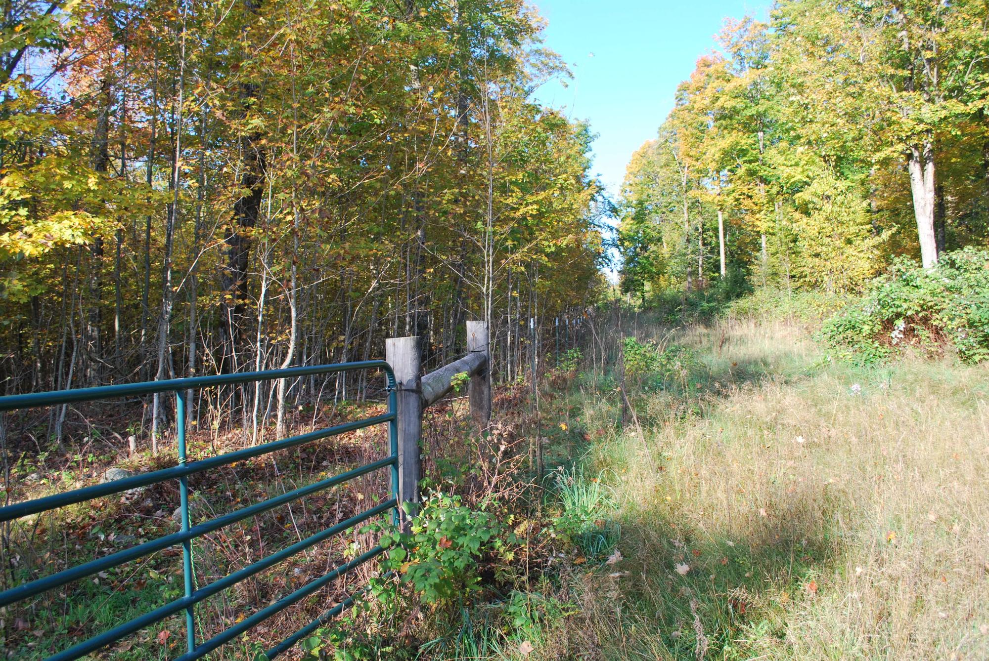 NEAR HWY 55