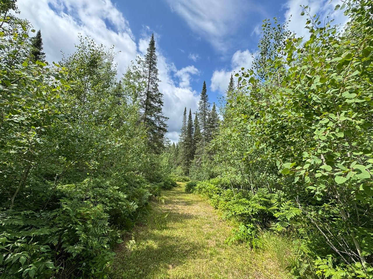 1CSM666 MERCER LAKE CR S