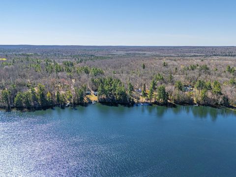 3172 HARRY PATTERSON DR Phelps WI 54554