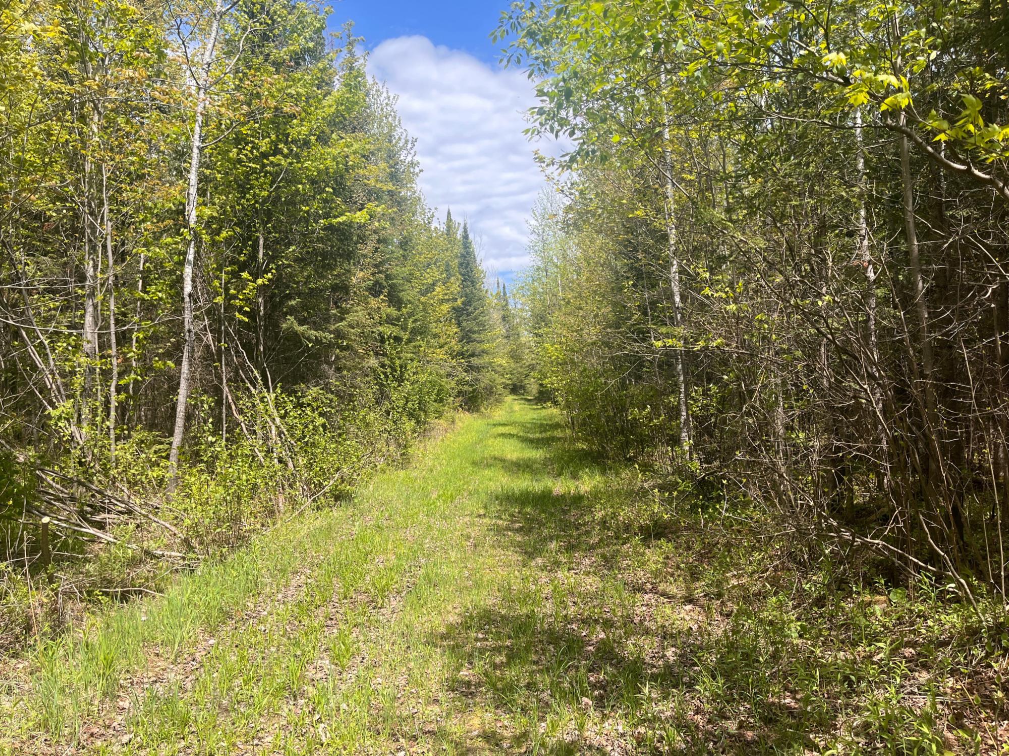 80 acres CLAUSEN RD