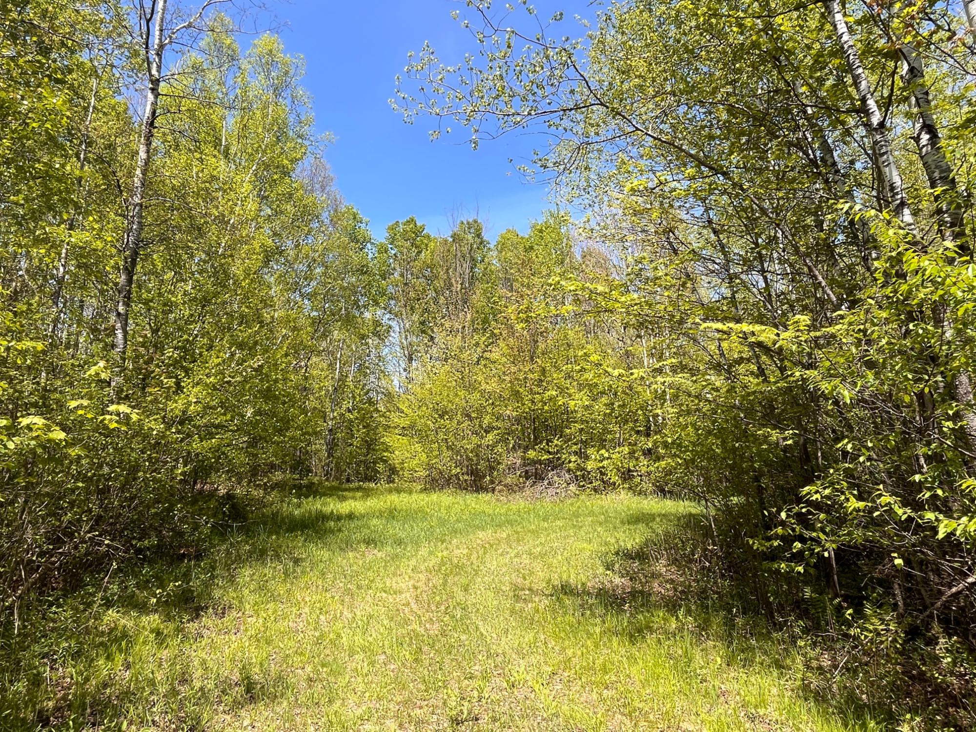 80 acres CLAUSEN RD