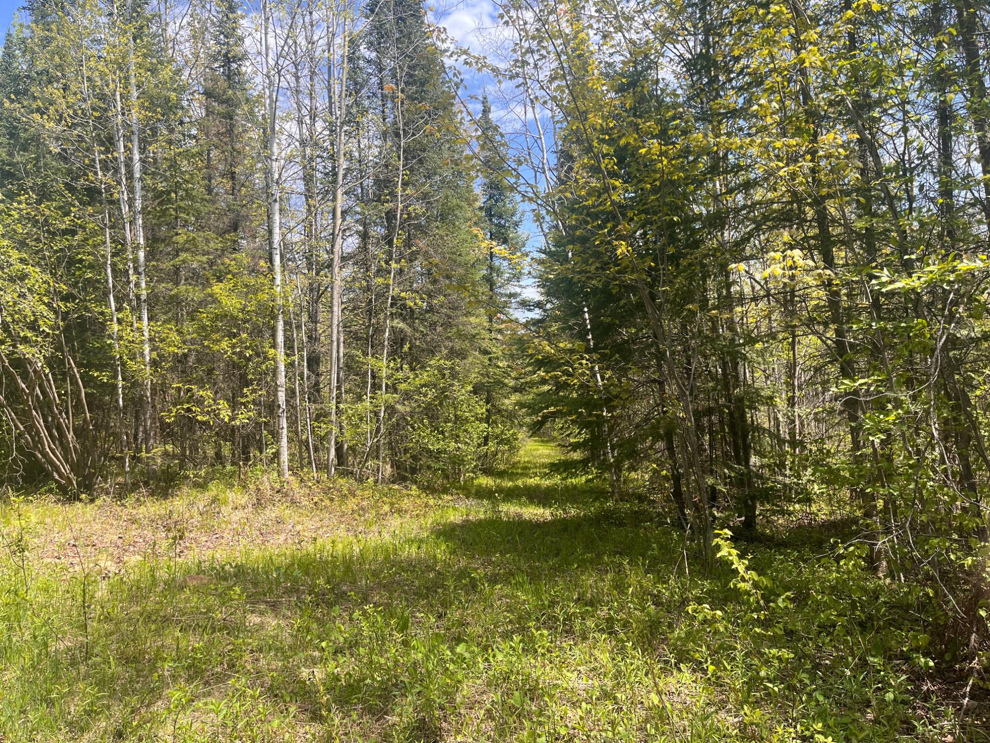 80 acres CLAUSEN RD