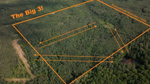 N6606 RANGELINE RD Deerbrook WI 54424