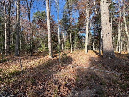 1.51 AC MADELINE LN, EAGLE RIVER, WI 54521 - Image 92f7fc0452bfd2c41f83460676ad7ffa/2777501183