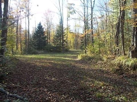 N4835 BURMA RD Merrill WI 54452