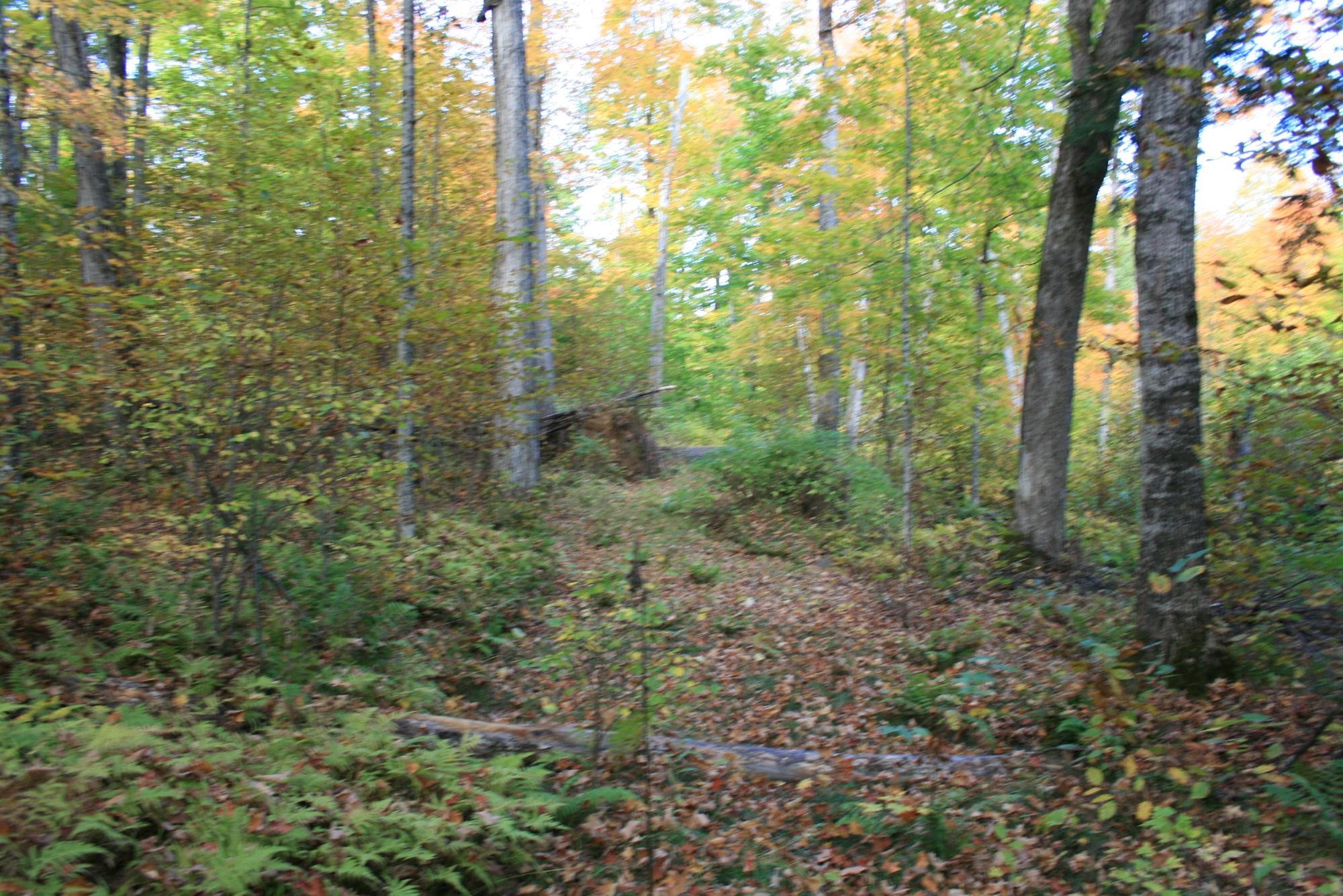 TBD UNIVERSITY DR parcel 3