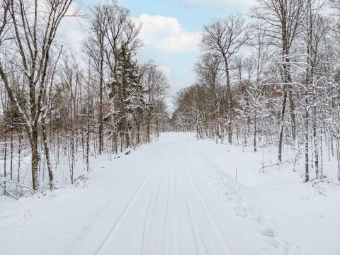 TBD UNIVERSITY DR Iron River MI 49935