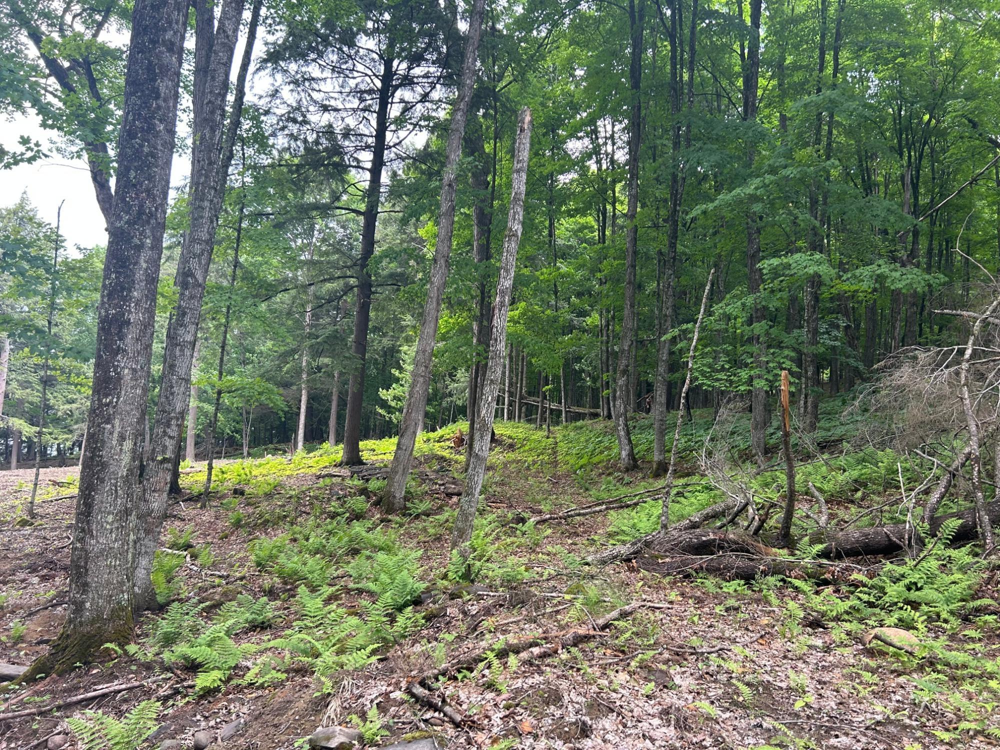 ON SMOKY LAKE RD Lot 4