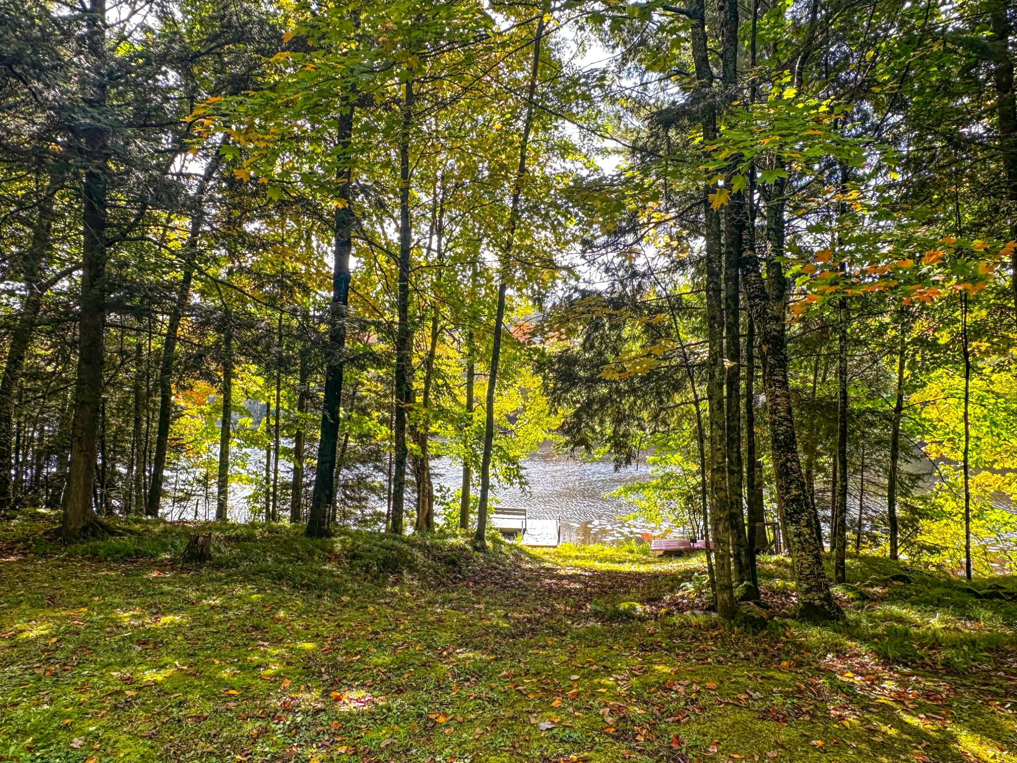 W8155 DEMARS BRIDGE LN