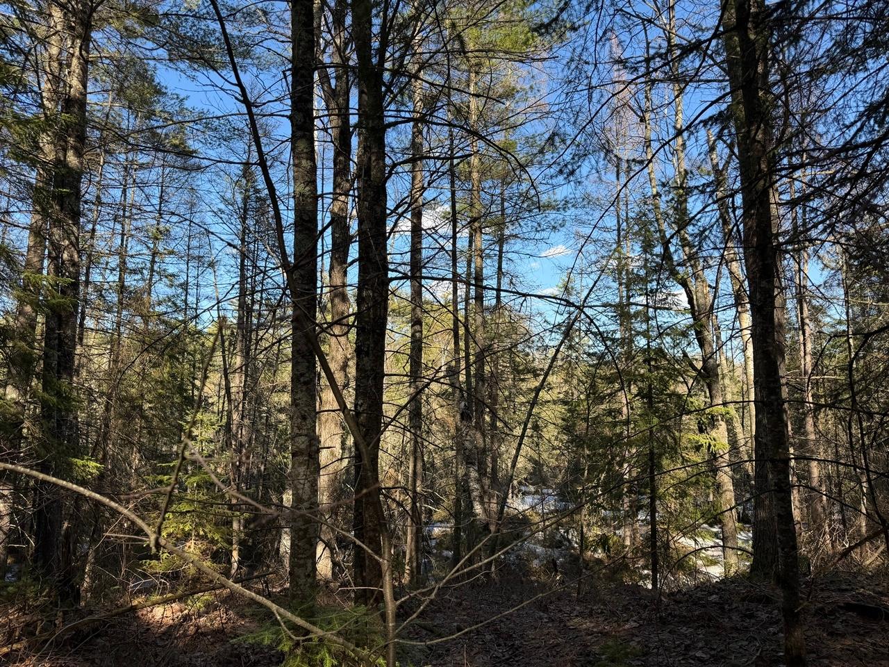 PRCL 18 CAMP NOKOMIS RD