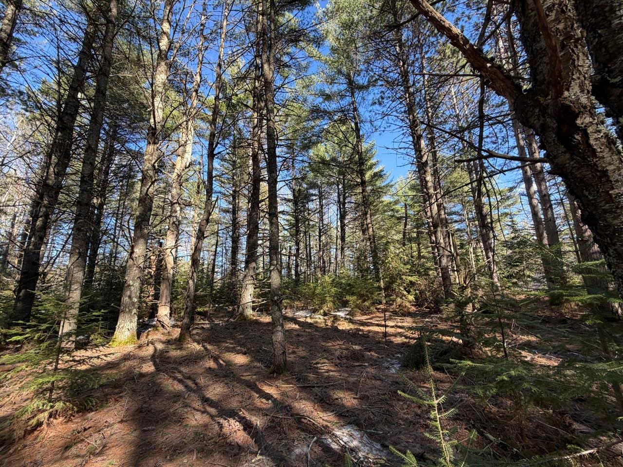 PRCL 18 CAMP NOKOMIS RD