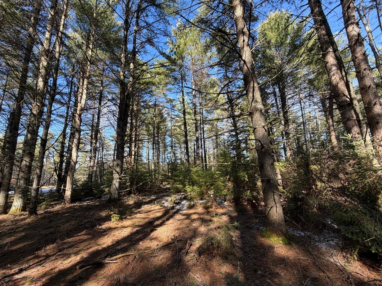 PRCL 18 CAMP NOKOMIS RD