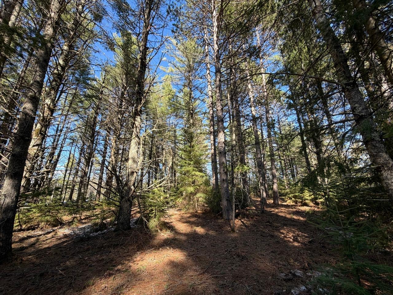 PRCL 18 CAMP NOKOMIS RD