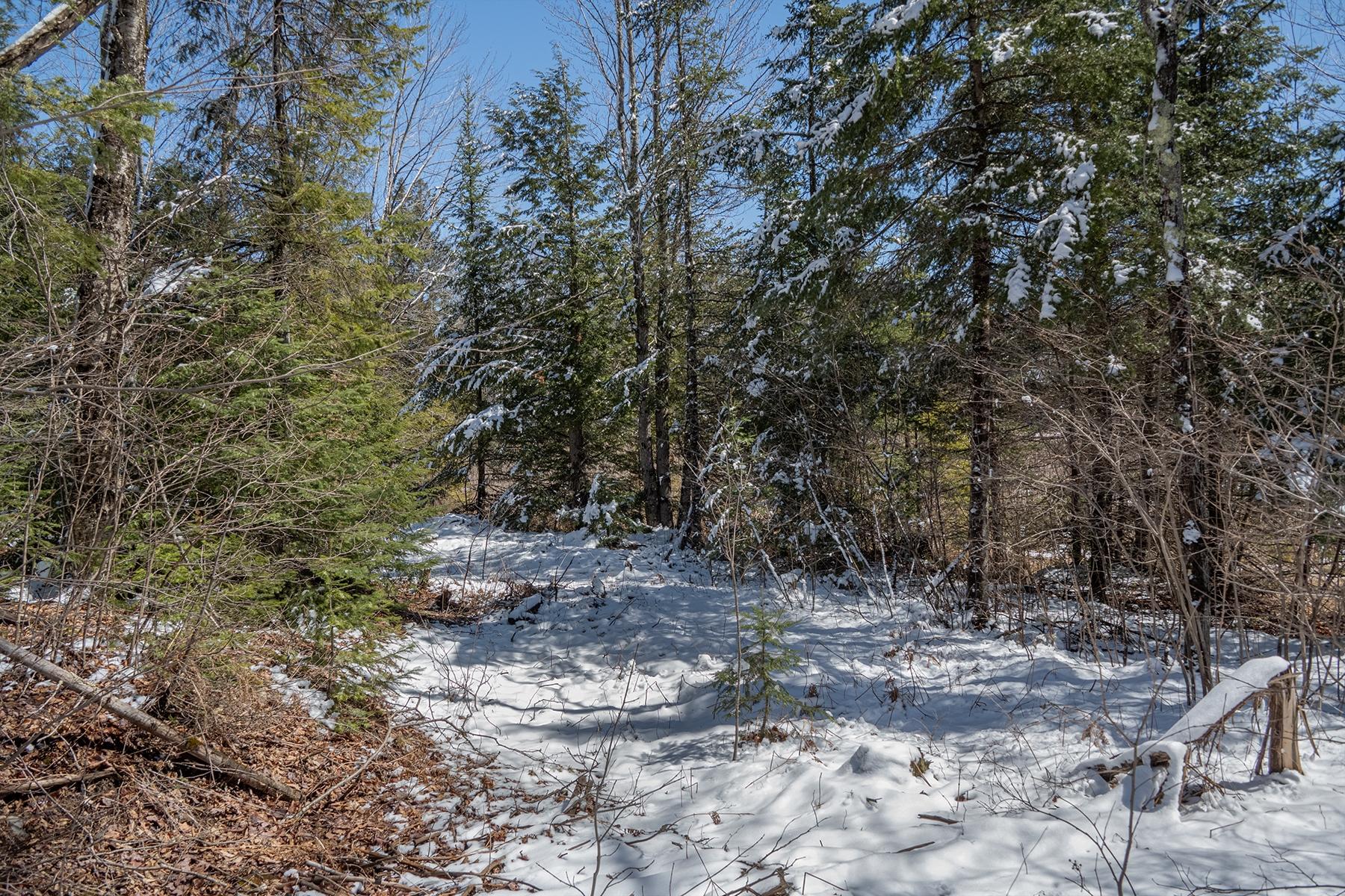 160-acre PLEASANT LAKE RD
